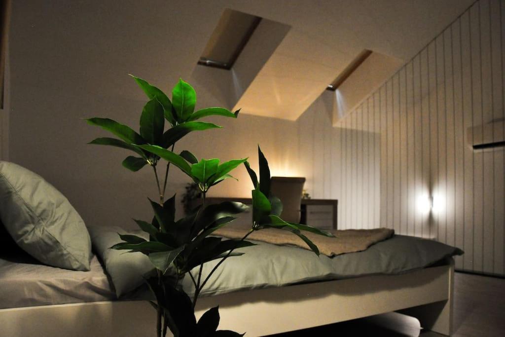 Ultracentral Modern Apartment Тыргу-Муреш Экстерьер фото
